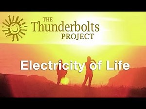 Dr. Jerry Tennant – Healing the Body's Electrical Circuitry