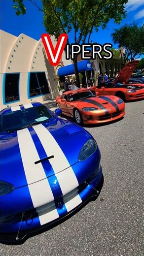 🐍 More Vipers than you can Shake a Stick at‼️ Celebration Exotic Car Festival #dodge #mopar #v10