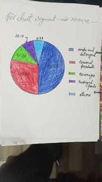 Class 12 | Accountancy Project | Hindustan Unilever Limited | Specific Project on Segment Analysis