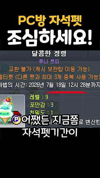 PC방 자석펫 먹으러갈때 주의해야할점 [메이플스토리]