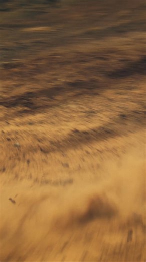 Siamo orgogliosi di presentare la nuova generazione della gamma Modern Classics! Ci sono idee che, fin dal primo istante, si rivelano semplicemente perfette. Perche’ nascono per durare nel tempo, non solo per catturare l’attenzione di un istante. True Originals Never Settle: le affascinanti Bonneville della famiglia Modern Classics continuano ad evolversi, anno dopo anno, pur restando fedeli a se’ stesse, allo stile British, all’eccellenza del design che sottolinea ogni dettaglio, al carisma che