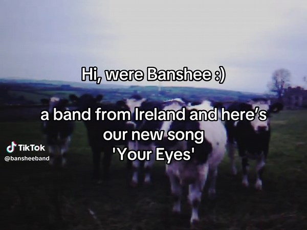 Hi, we’re Banshee ⭐️ Here’s our song ‘Your Eyes’ #rockband #newmusic #band #altmusic #vintagemusic