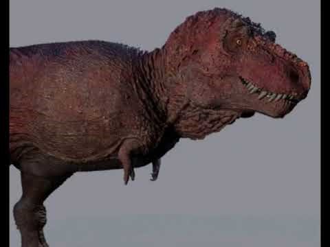 Real creature sound: Tyrannosaurus rex