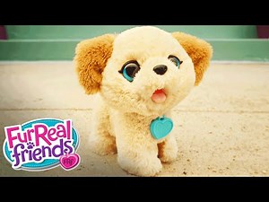 FurReal Friends Toys – Pax, My Poopin’ Pup ‘Cute Poop to the Max!’ Official T.V. Spot – Hasbro