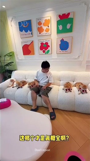 billu ki copy bahit saare cat aa gye