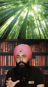 The Bamboo Tree: A Story of Resilience and Growth 🌱💪#BambooStory #MotivationalStory #Resilience | JoT Tv Australia