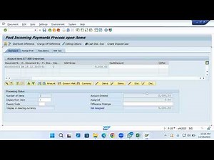 SAP FI AR - Customer Invoice / Credit Memo / Payment