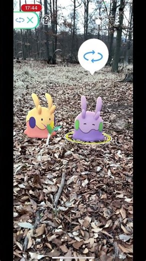 Pokemon GO - Shiny Goomy and Goomy interact