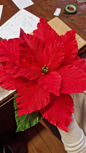 Edinburgh Paper Flowers | Lovely poinsettia workshop this morning @nationaltrustforscotland Branklyn Gardens. Thanks to everyone who came along xxxx... | Instagram
