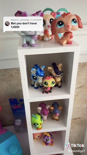Reply to @_.garbadge._ i promise im displaying them soon im on the hunt for large affordable shelves😂 #lps #littlestpetshop #lpscollection #lpstiktok #collection