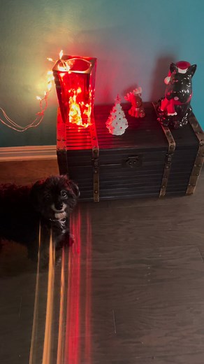 Our baby sweet, Baylei 珞 | Fitness and Body by Brandy Maddron | Facebook