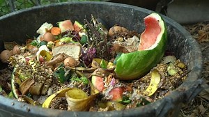 Food Scraps Compost Pile Backyard Composting Stock Footage Video (100% Royalty-free) 1057345741 | Shutterstock