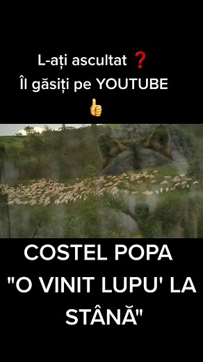 Costel Popa Official pe TikTok