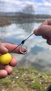 Improve Your Technique & Catch More Fish