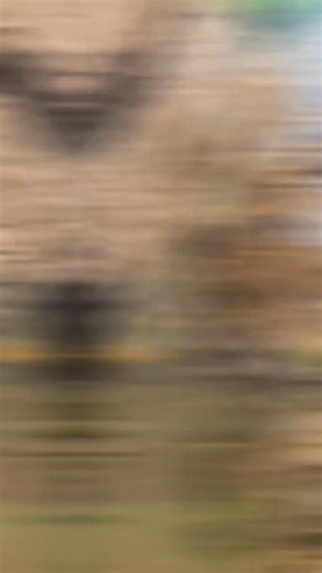 315K views · 1.6K reactions | Jaguar VS Leopard #facts #shorts | Universe Adventure | Facebook