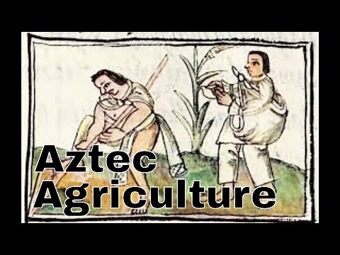 How Did The Aztecs Feed Their People?