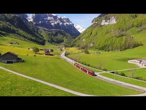 Stunning European Nature | Breathtaking Landscapes & Wildlife Across Europe