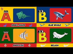 60+ ABC Sea Animals Song 🌊 | Learn Ocean Creatures from Angelfish to Zebra Moray! | UZR Kids