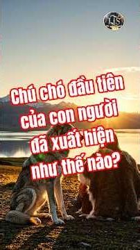 Chú chó đầu tiên của con người đã xuất hiện như thế nào?