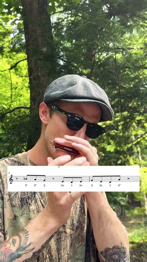 Blues Harmonica Licks! no. 4 #bluesharmonica #bluescommunity #harmonicalessons #improvisationlessons