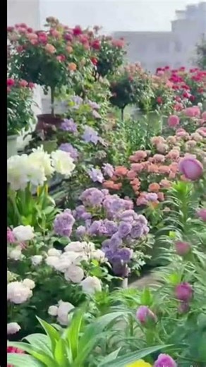 5 अप्रैल 2026