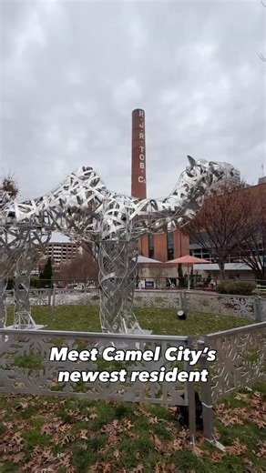 🐪✨ Something magical just appeared in Bailey Park… and no, your eyes aren’t deceiving you, that’s a camel lighting up the night in Camel City! 🧡 Winston-Salem’s newest holiday “resident” is a 16-foot aluminum camel, crafted by the talented team at @studio25decor and wrapped in more than 12,000 twinkling lights. It’s bold, it’s bright, and it’s giving peak holiday sparkle right in the heart of the iQ. Why a camel? It’s a playful nod to one of our city’s nicknames, Camel City, and we are absolut