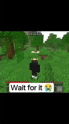 Minecraft Trap 🪤 for friends #minecraft #shorts