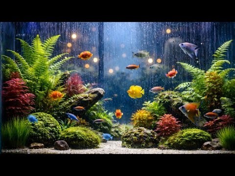 SUARA AIR GEMERICIK MENGALIR JERNIH UNTUK RELAKSASI DAN TERAPI OTAK