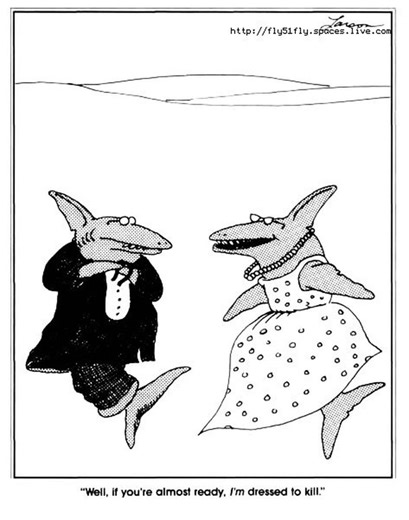 I am dressed to kill it | Shine On Media