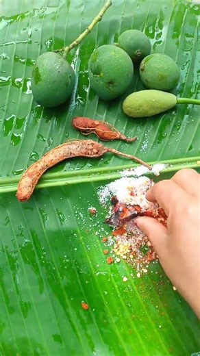 tetul amm vorta 😋🤤