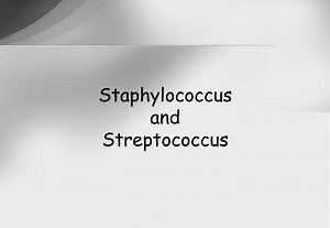 Staphylococcus and Streptococcus - SlideServe