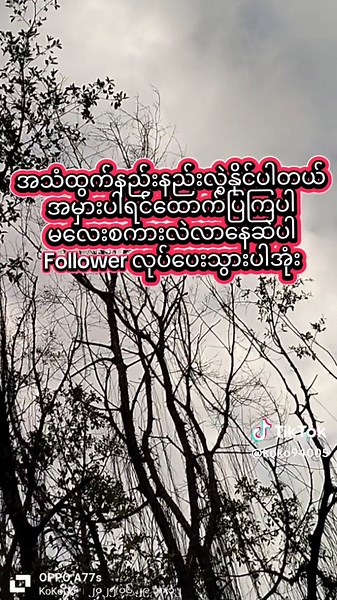 @koko94005TV @koko94005TV @koko94005TV #koko94005tv #မလေးရှားရောက်ရွှေမြန်မာများ