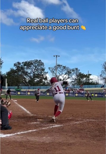 Mastering the Art of Bunting in Softball