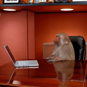 153 reactions · 14 comments | Join hundreds of happy customers customising their perfect refurbished laptops with Gadget Centre. “Great Service and fast delivery, website so easy to use to build your own laptop to a specific specification. Could not buy one like this from any high street store. Fantastic company.”  Get yours today! | Gadget Centre | Facebook