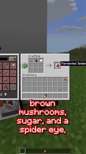 fermented #minecraft #fyp #shorts