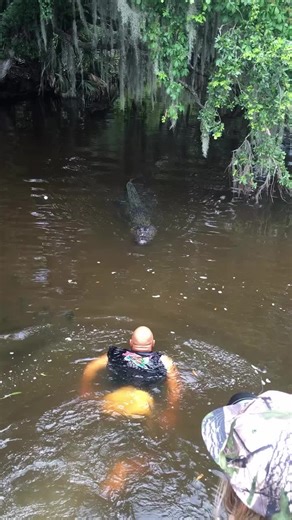 Innovative AI Tech: Meet Balli Bot Mogis