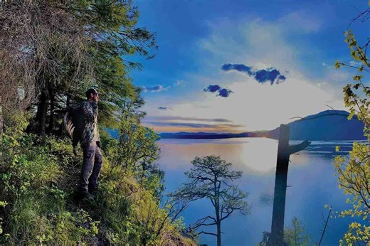 Authoritative Guide to Hunting Turkeys in the Idaho Panhandle - Game & Fish