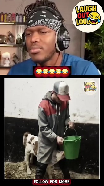 Funny Videos to Brighten Your Day