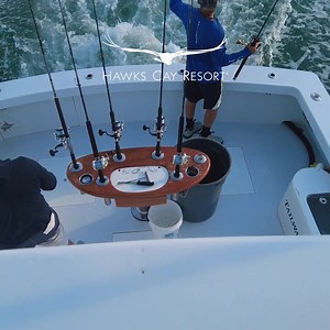 24K views · 877 reactions | All crew on board. Experience Florida Keys fishing like never before at Hawks Cay—home of the Saltwater Experience, a full-service marina and 10+ fishing charters. | Hawks Cay Resort | Facebook