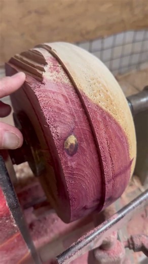 New DIY Red Cedar Project begins #shorts