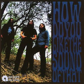 Amplified Heat - How Do You Like The Sound Of That