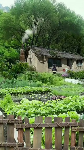 Nature | China village life, Farming, Farmer work in field, Nature 4k video | #nature #relax #foryou