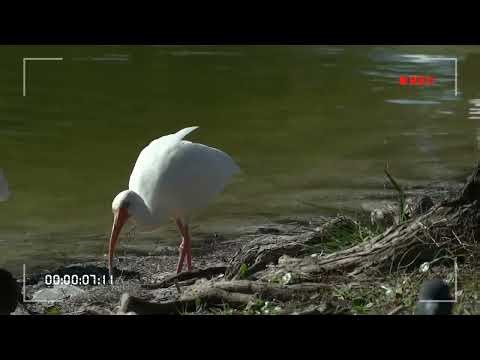 Nature video _ relaxing music video 📸 #nature #relaxing