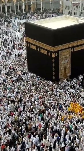 Masha, Allah makkah live madina live #makkah #madina #shorts #hajjlive #shortvideo #mecca🤲✨