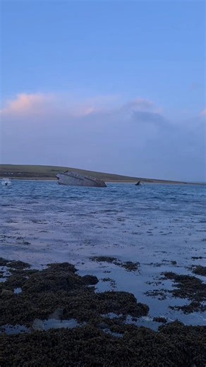 121K views · 5K reactions | Now we're getting into spooky season,...