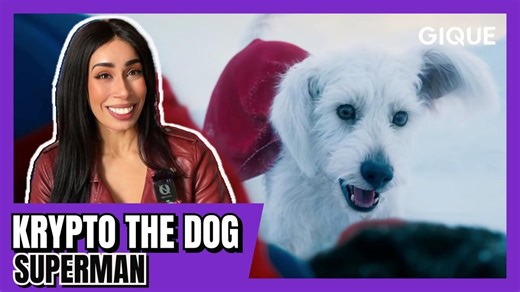 Who Is Krypto? | Dc Supermans Dog