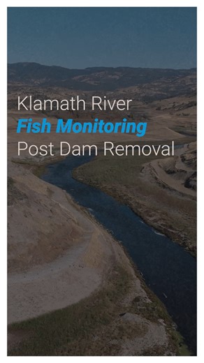 104K views · 2.2K reactions | 1️⃣ year later... the Klamath River is...