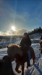 144 reactions | Where Freedom and Friendship Tölt Together WWW.HORSES.IS #islenskireiðhesturinn #icelandicadventure #volcaniclandscape #theicelandichorse #islenskihesturinn #thetöltmustgoon #ridingisfreedom #welovehorses #smallgroups #visiticeland #icelandtrip #adventure #reykjavik #Iceland #thetölt #tölt #tölt #tølt | Íslenski Hesturinn - The Icelandic Horse | Facebook