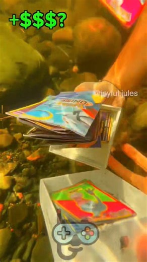 Look what I found in the territorial waters #freediving #Logic_Academy | Logic Academy