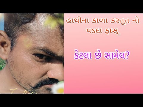 આજે તો હાથીનો કાળા કરતુત નો પડદા ફાસ 🤪